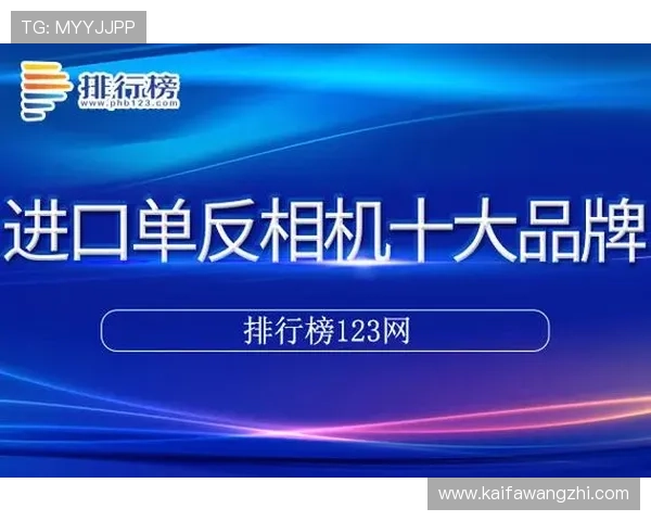 凯发首页地址官方入口网址，确保用户安全登录的最佳选择