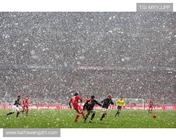 凯发体育客服快速处理投注问题，确保您的体育竞猜顺利进行