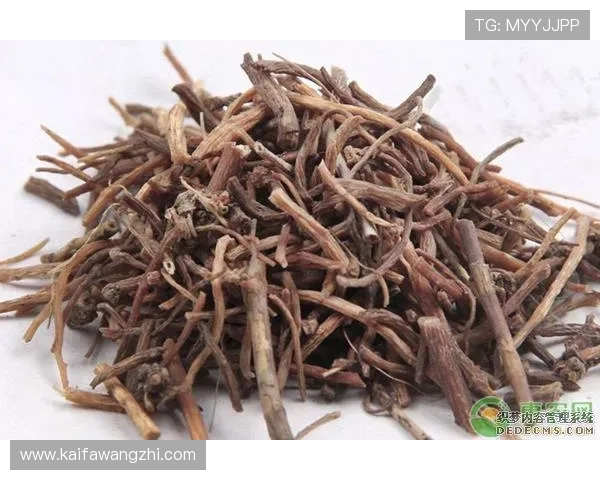 凯发旗舰厅登录免费下载官网:便捷的登录方式让你随时随地畅玩精彩游戏 凯发旗舰厅登录免费下载官网:便捷的登录方式让你随时随地畅玩精彩游戏