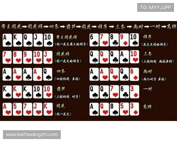 PAP德州新手入门指南详细介绍游戏基础规则与入门技巧帮助快速上手